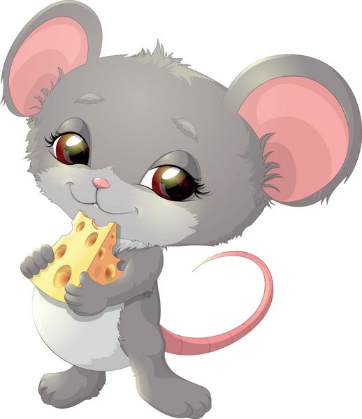 موش ناز پنیر در دست دارد