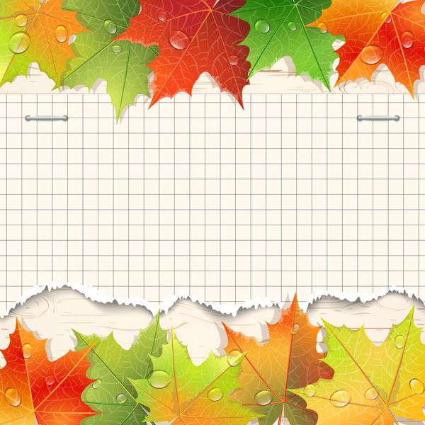 ورق کاغذ پاره شده و برگ های افرا پاییزی