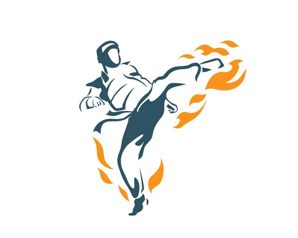  عکس تکواندو خفن پسرانه