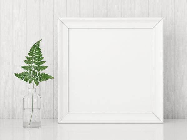 ماکت پوستر داخلی مربع با قاب خالی و برگ سرخس در بطری شیشه ای در پس زمینه دیوار سفید رندر سه بعدی