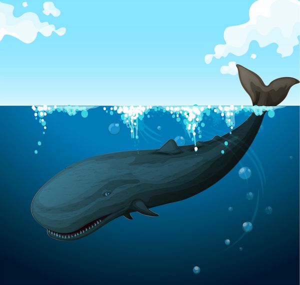 نهنگ در حال شنا در زیر دریا