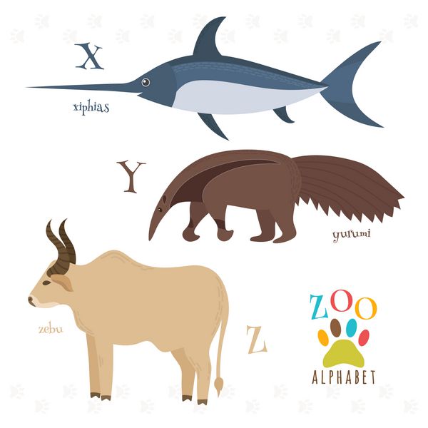 الفبای باغ وحش با حیوانات کارتونی خنده دار حروف x y z xiphia