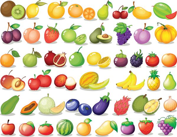تصویر مجموعه ای از میوه ها