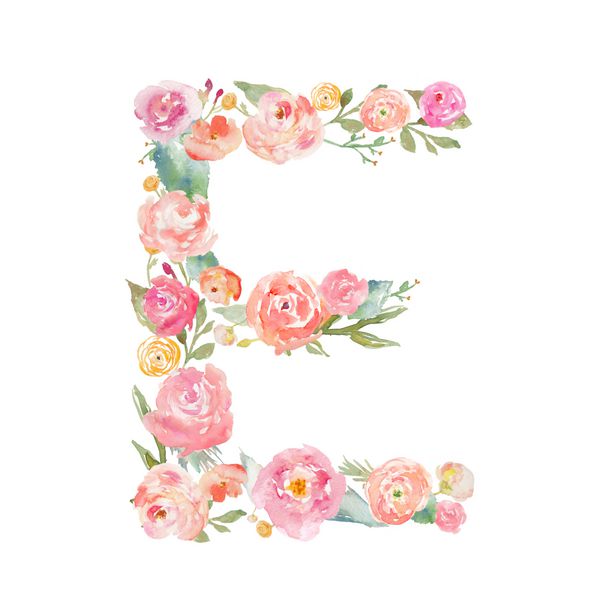 حرف e تک نگاره گل آبرنگ در پس زمینه سفید جدا شده حروف الفبای ساخته شده از گل