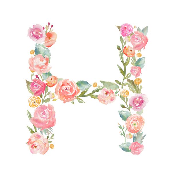 تک نگاری حرف h آبرنگ گل در پس زمینه سفید جدا شده حروف الفبای ساخته شده از گل