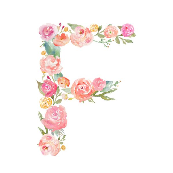 تک نگاری گل آبرنگ حرف f الفبای گل ساخته شده از گل حرف f