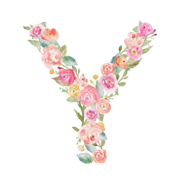 الفبای گل آبرنگ تک نگار حرف y ساخته شده از گل حرف y الفبای گل