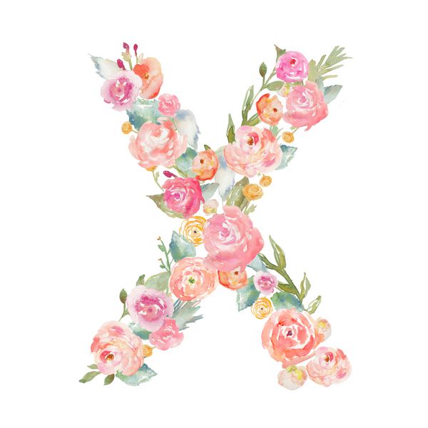 الفبای گل آبرنگ تک نگار حرف x ساخته شده از گل