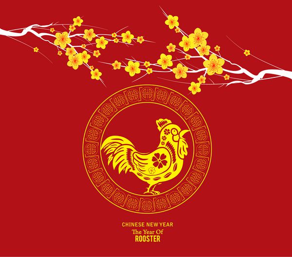 طراحی سال نو چینی خروس زیبا با شکوفه آلو در پس زمینه سنتی چینی