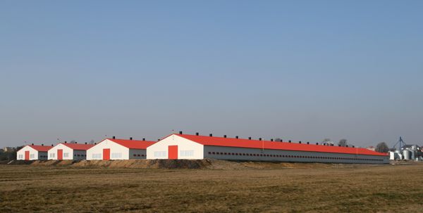 ساختمان های مرغداری مزرعه مدرن کشاورزی در لهستان