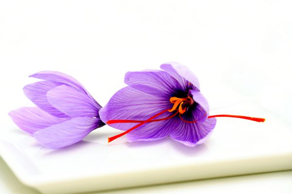 گل‌های تازه زعفران که با نام crocus sativus نیز شناخته می‌شوند به عنوان ادویه‌ای برای طعم‌دهنده و رنگ‌آمیزی غذا به‌ویژه برنج استفاده می‌شود