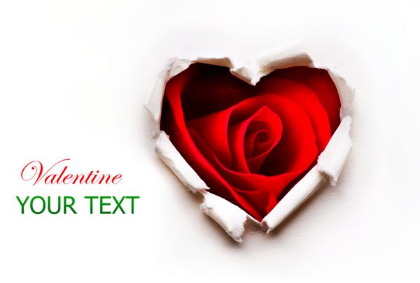 طراحی هنری قلب قلب کاغذی با گل رز قرمز داخل طراحی کارت پستال یا کارت دعوت