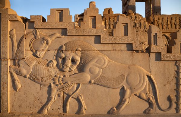 نقش برجسته شیر در حال شکار گاو نر در محوطه میراث جهانی تخت جمشید که برای تزئین دیوار رفیق پادشاهی در امپراتوری هخامنشی 500 ق م