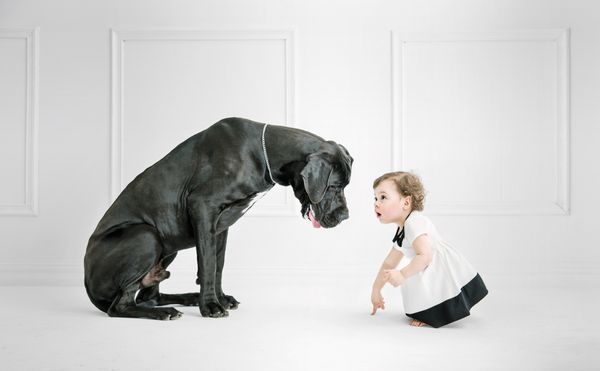 دختر کوچکی که در برابر یک سگ بزرگ ژست گرفته است