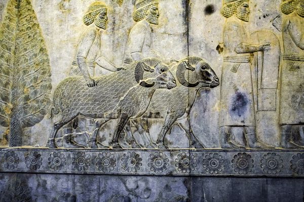  عکس تخت جمشید در زمان هخامنشیان