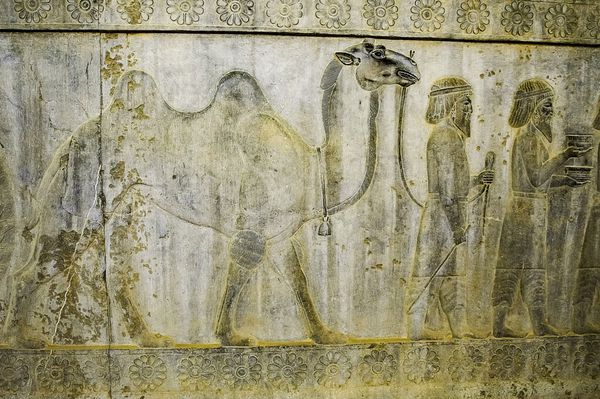 عکس تخت جمشید با کیفیت بالا