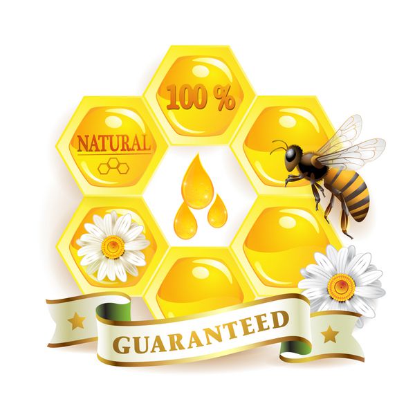 لانه زنبور و زنبور عسل جدا شده روی سفید