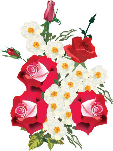 تصویر دسته گل رز قرمز و سفید