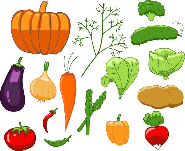 مجموعه ای از سبزیجات رنگارنگ