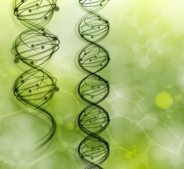 مولکول های DNA