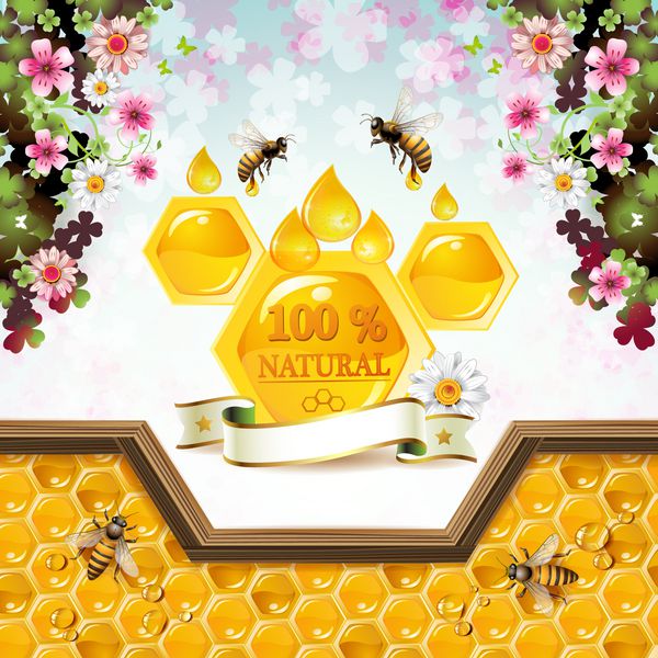 زنبورها و لانه زنبورها