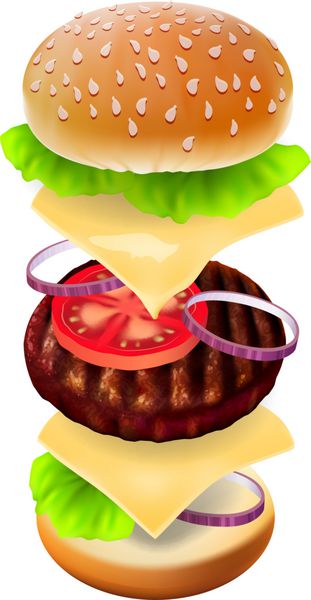 همبرگر - نمای هر عنصر وکتور