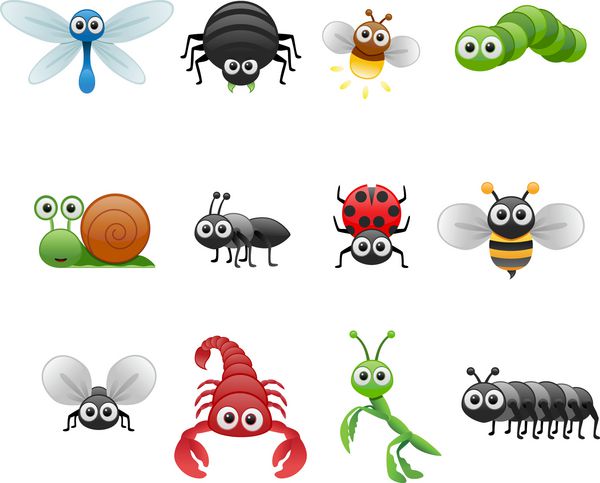 ست کارتونی حشرات