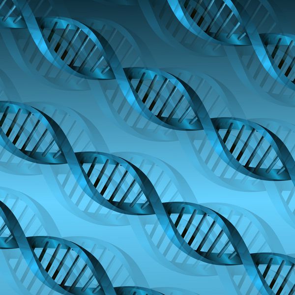 پس زمینه ساختار مولکول DNA وکتور