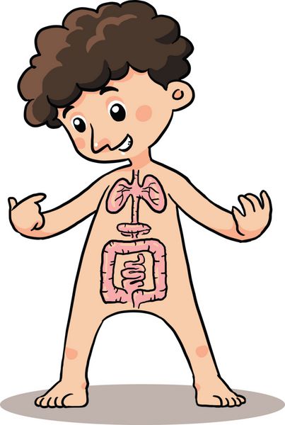 اندام بدن کودک توضیح اندام بدن کودک