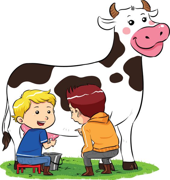 کودکانی که در مزرعه دامداری یک گاو را می دوشند فایل وکتور