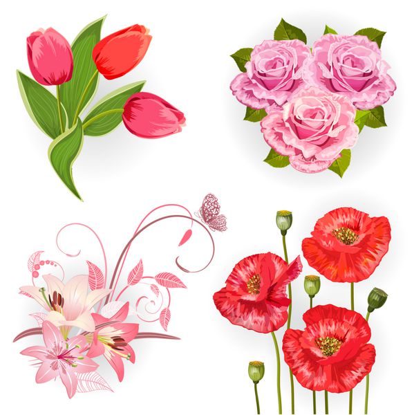 مجموعه ای از گل های جدا شده برای طراحی شما
