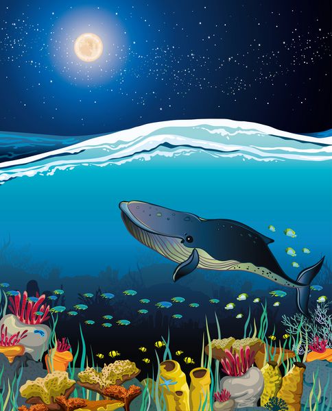 منظره دریایی با نهنگ شناور و آسمان شب