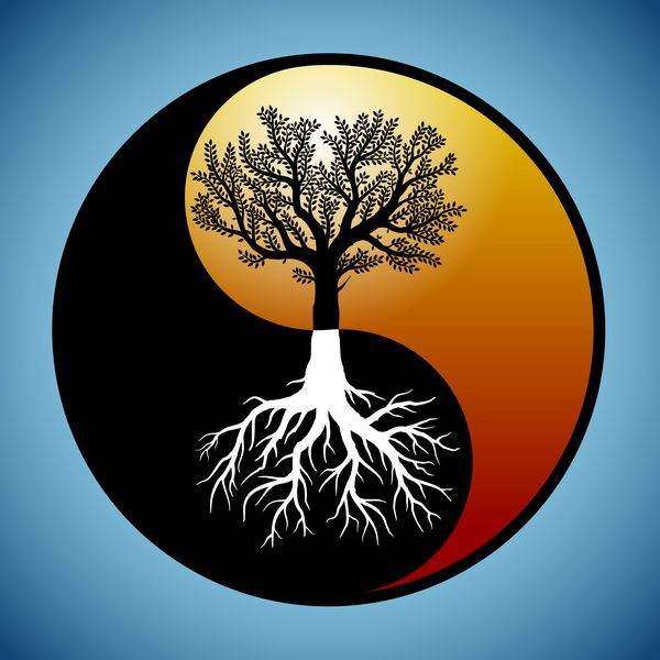 درخت و ریشه آن در نماد یین یانگ است