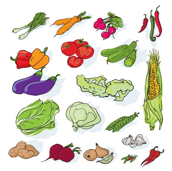 ست سبزیجات کشیده شده با دست بردار