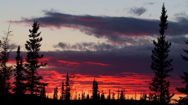 غروب قرمز در پشت جنگل و ابرهای تیره در نزدیکی Fairbanks