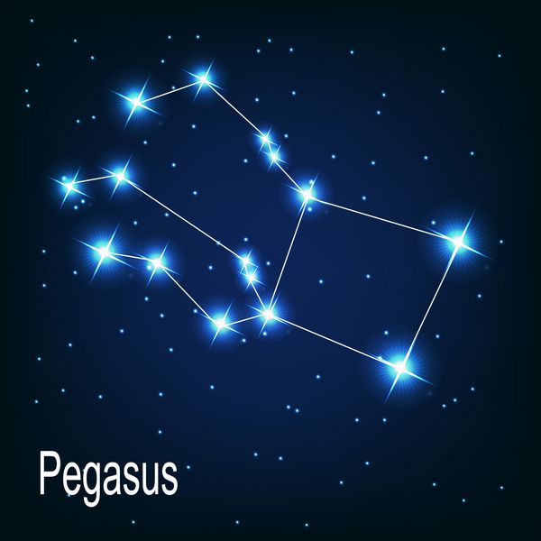 صورت فلکی ستاره پگاسوس در آسمان شب بردار il