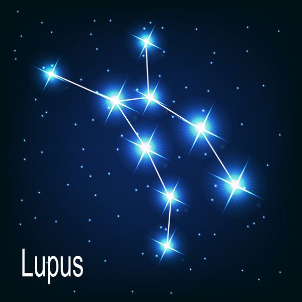ستاره لوپوس صورت فلکی در آسمان شب وکتور ilra