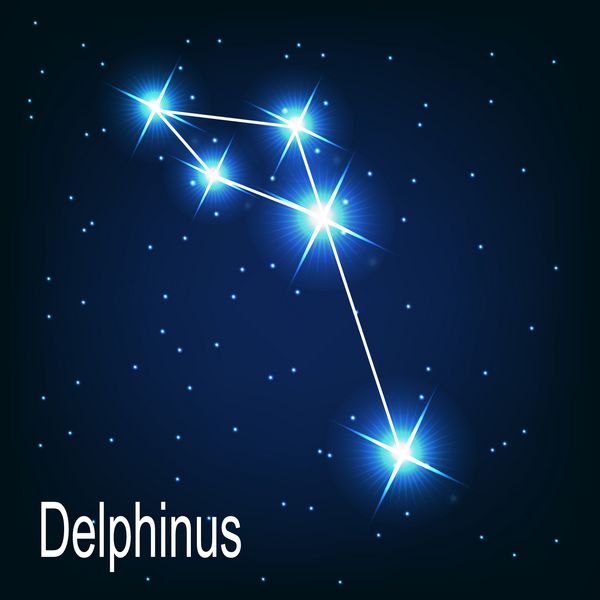 ستاره صورت فلکی دلفین در آسمان شب وکتور illu