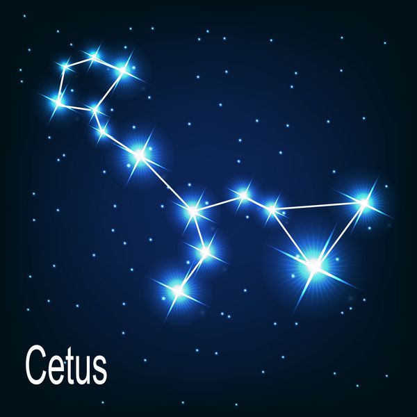 صورت فلکی ستاره سیتوس در آسمان شب وکتور ilra