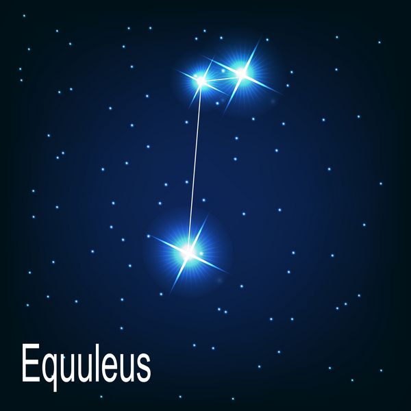 ستاره صورت فلکی equuleus در آسمان شب وکتور
