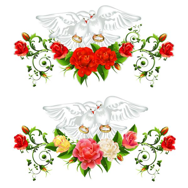 گل رز کبوتر و حلقه ازدواج