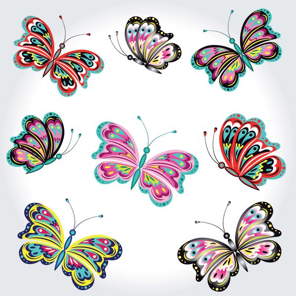 مجموعه ای از پروانه های رنگارنگ