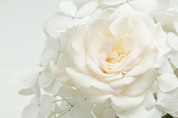 دسته گل سفید