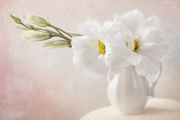 گل های سفید در گلدان