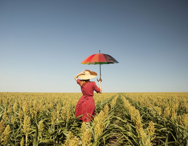 دختری با چتر در مزرعه ذرت