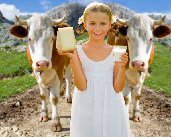 شیر تازه از گاو - دختر دوست داشتنی با محصولات لبنی و گاو در مرتع کوهستانی