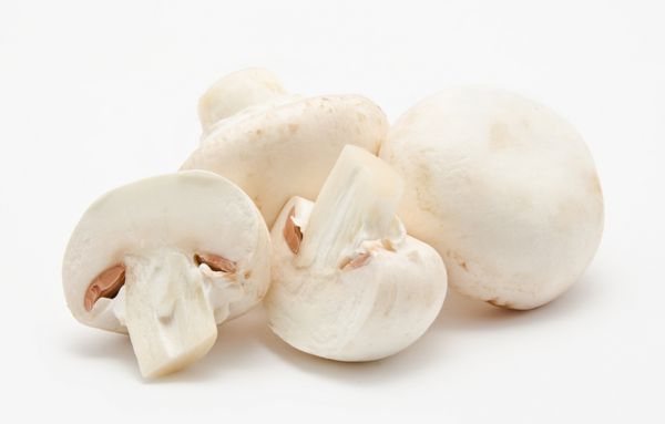 قارچ شامپینیون آگاریکوس سفید با جعفری جدا شده