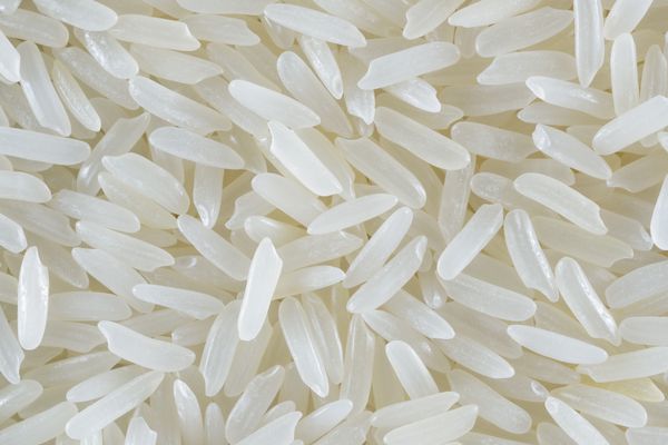 دانه برنج برنج یاسمن