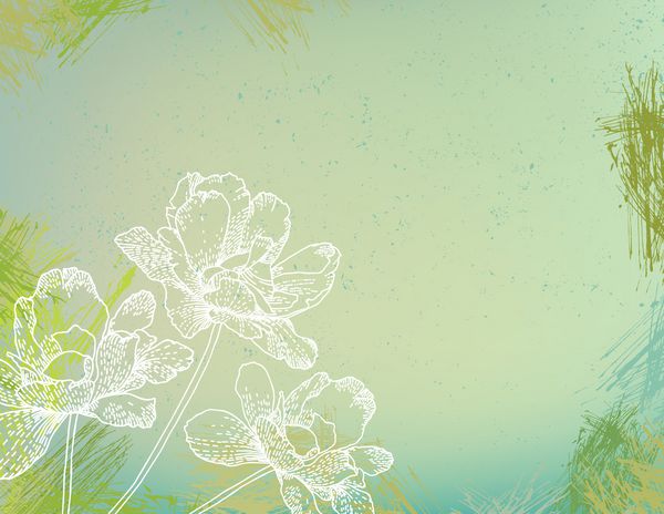 وکتور دست کشیده از گل های زینتی سفید روی پس زمینه آبرنگ سبز تصویر مفهومی عشق بهار شادی برای کارت دعوت نامه خالی ثابت