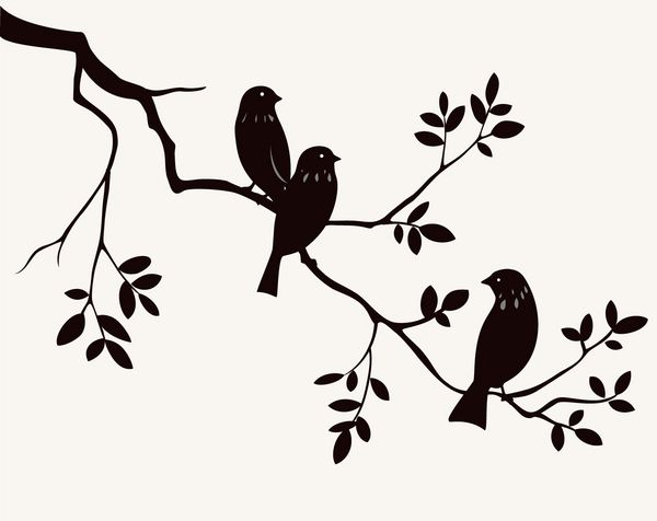 وکتور پرندگان روی شبح شاخه شاخه تزئینی درخت